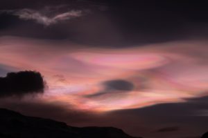 Read more about the article Aurora rosie